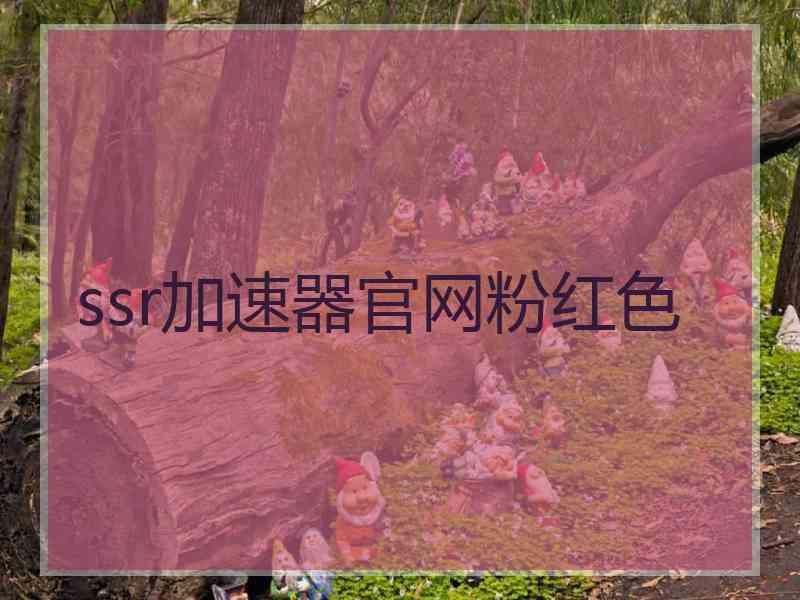 ssr加速器官网粉红色