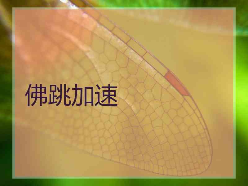 佛跳加速