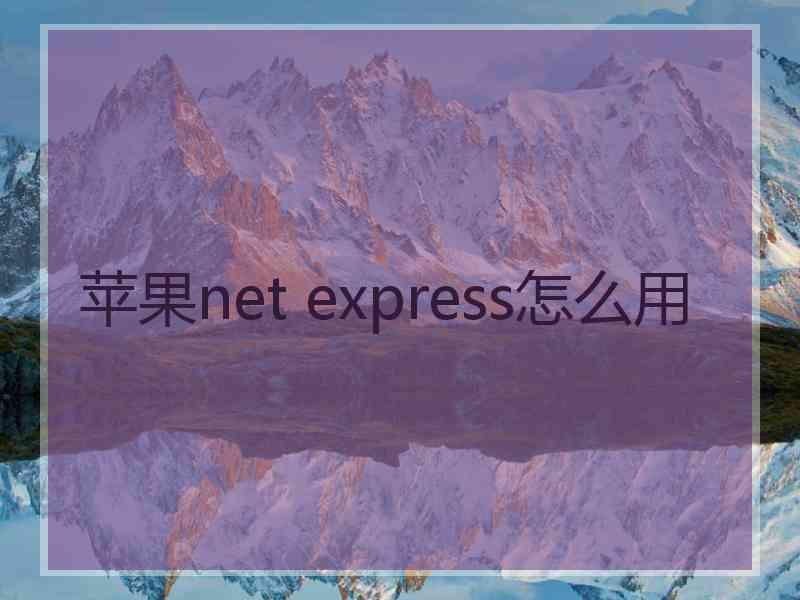 苹果net express怎么用