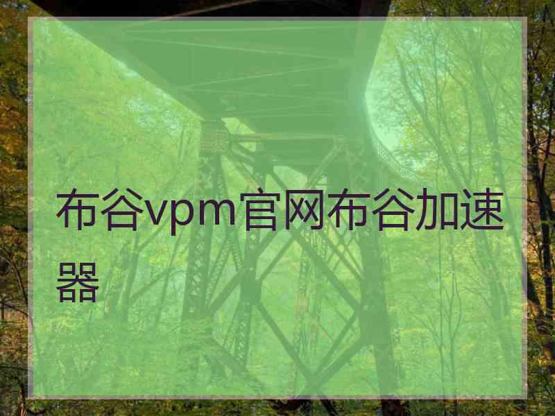 布谷vpm官网布谷加速器