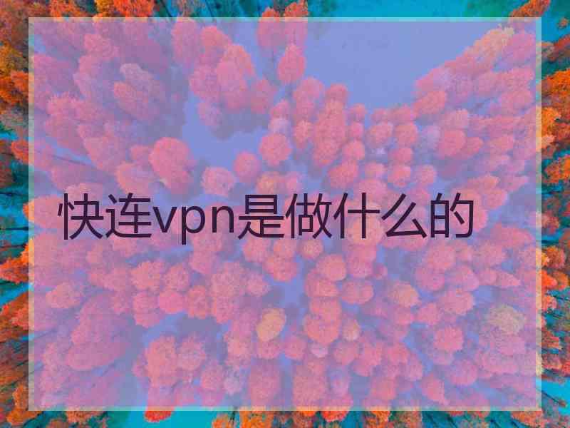 快连vpn是做什么的