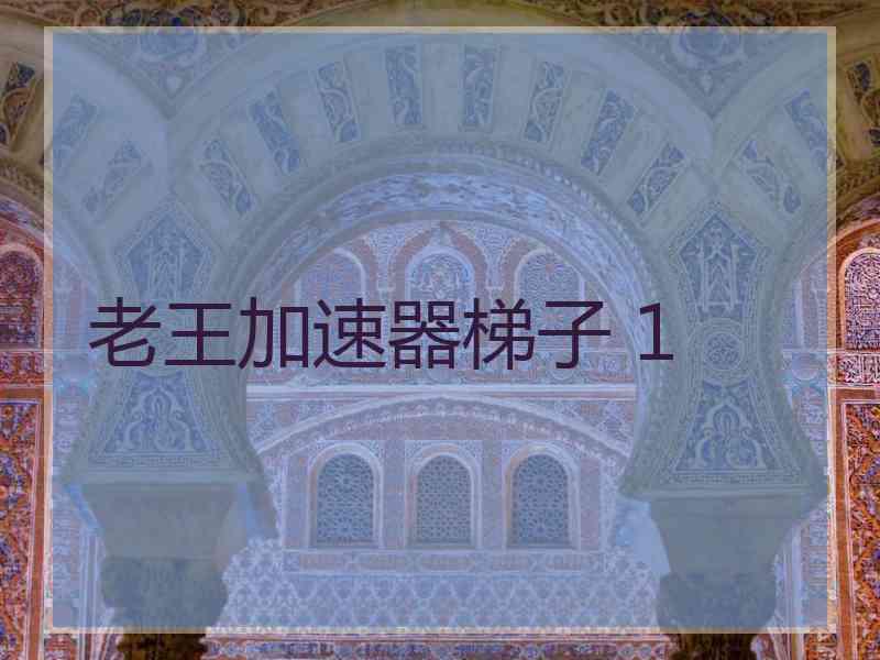 老王加速器梯子 1