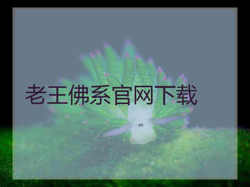 老王佛系官网下载