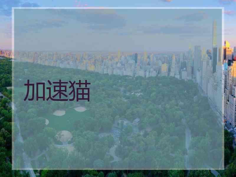加速猫