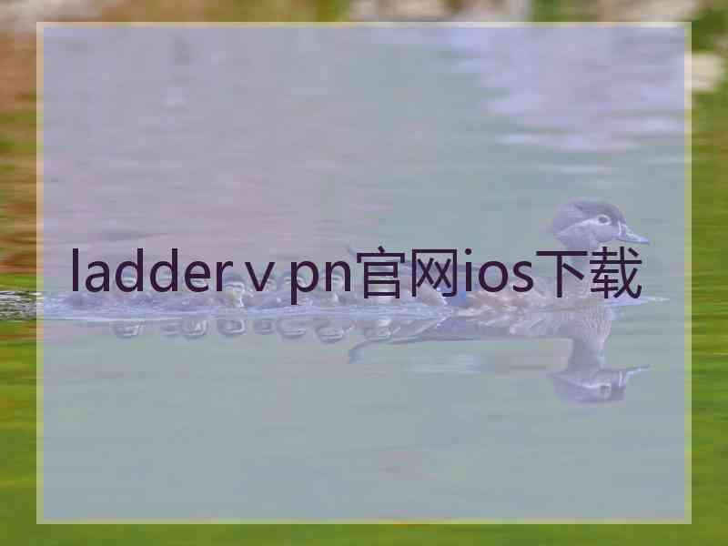 ladderⅴpn官网ios下载
