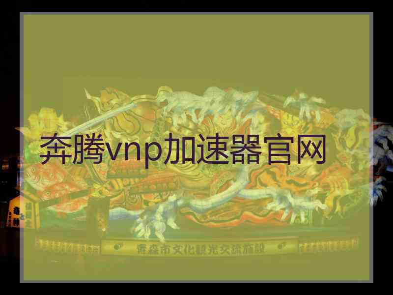 奔腾vnp加速器官网
