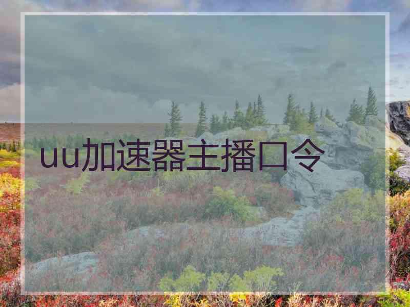 uu加速器主播口令