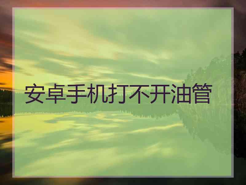 安卓手机打不开油管