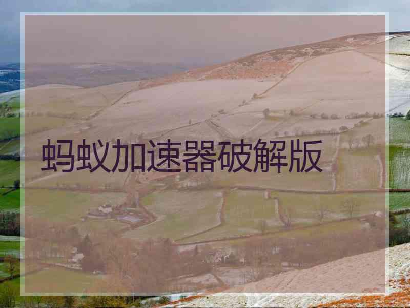 蚂蚁加速器破解版
