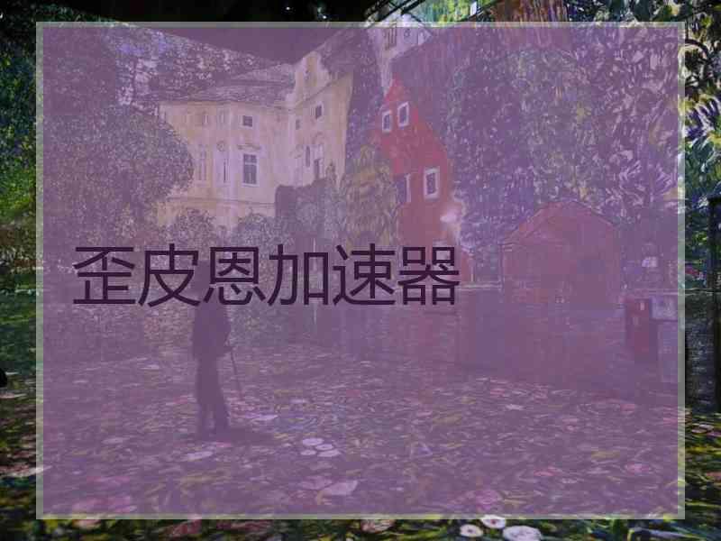 歪皮恩加速器