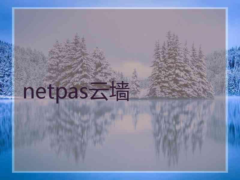 netpas云墙