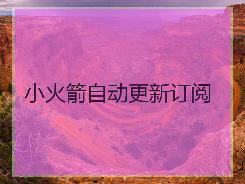 小火箭自动更新订阅