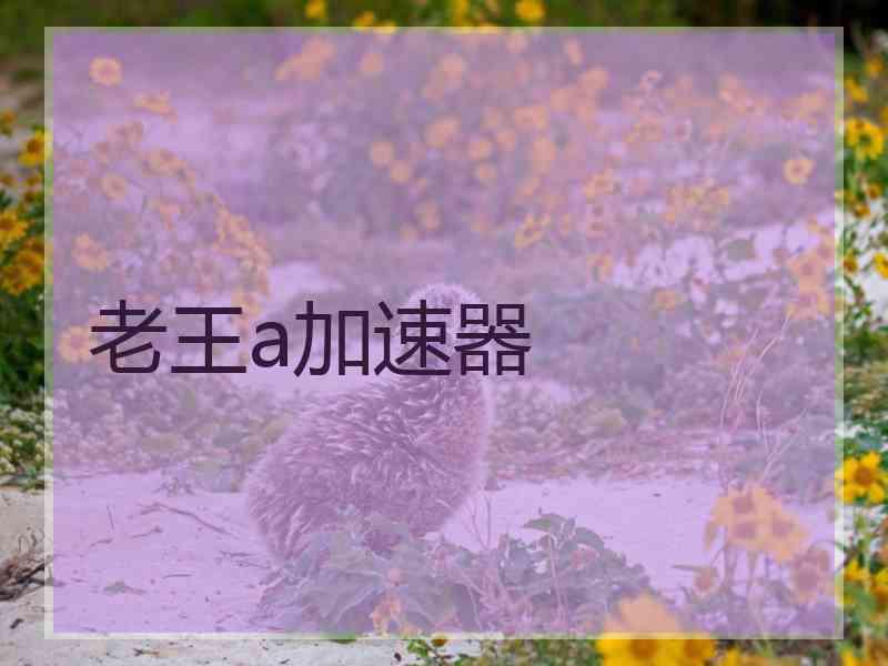 老王a加速器