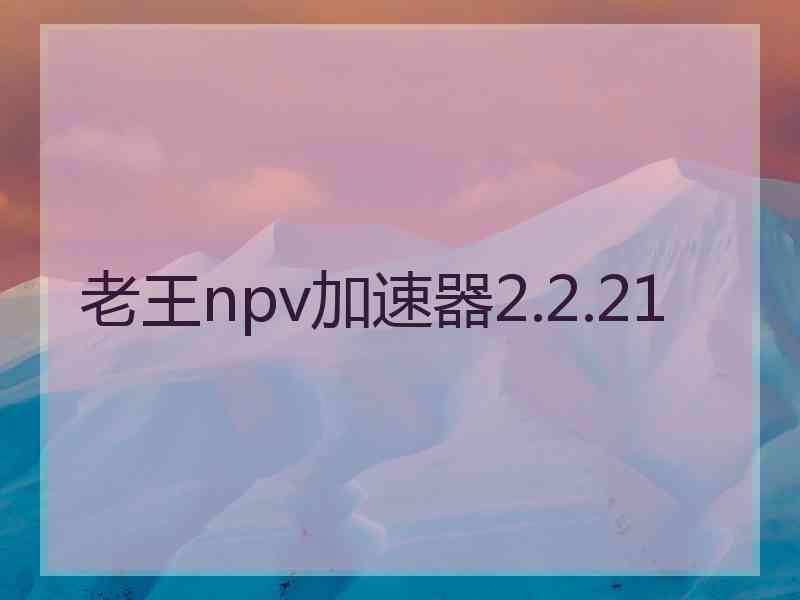 老王npv加速器2.2.21
