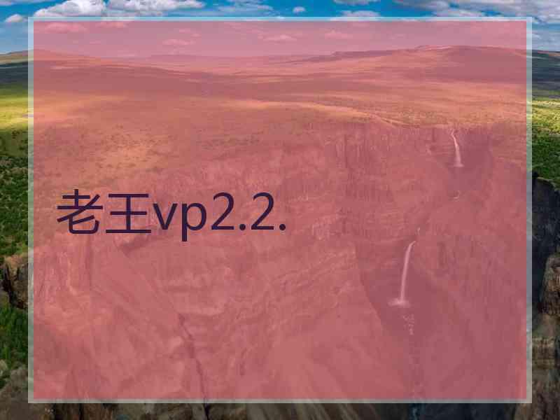 老王vp2.2.