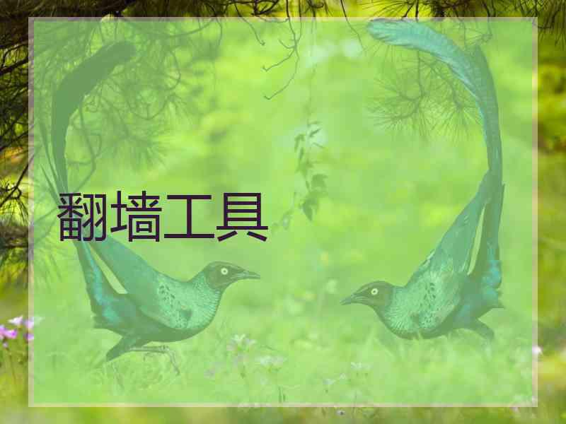 翻墙工具