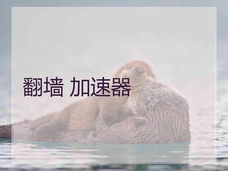 翻墙 加速器