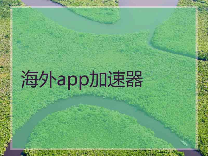 海外app加速器