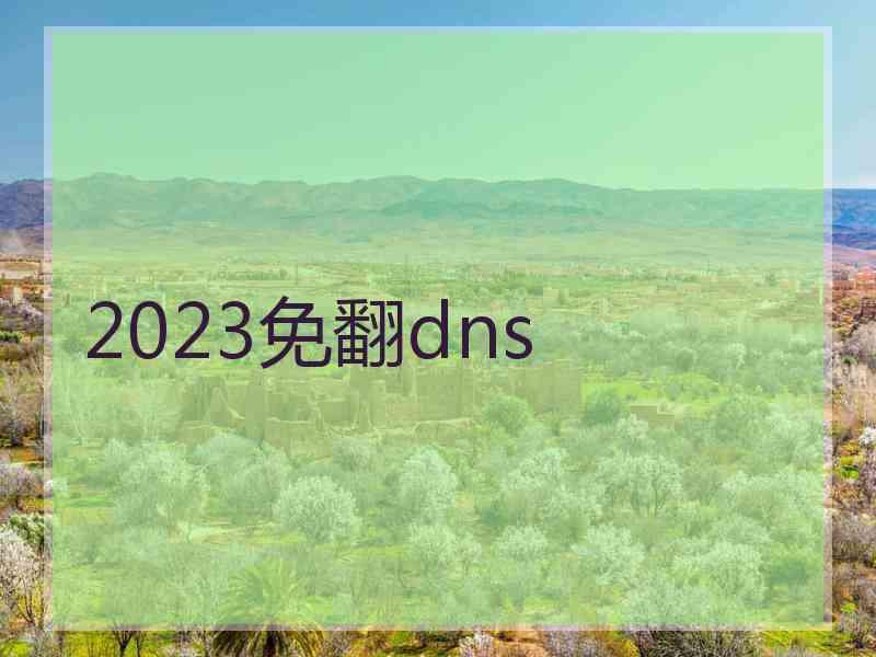 2023免翻dns