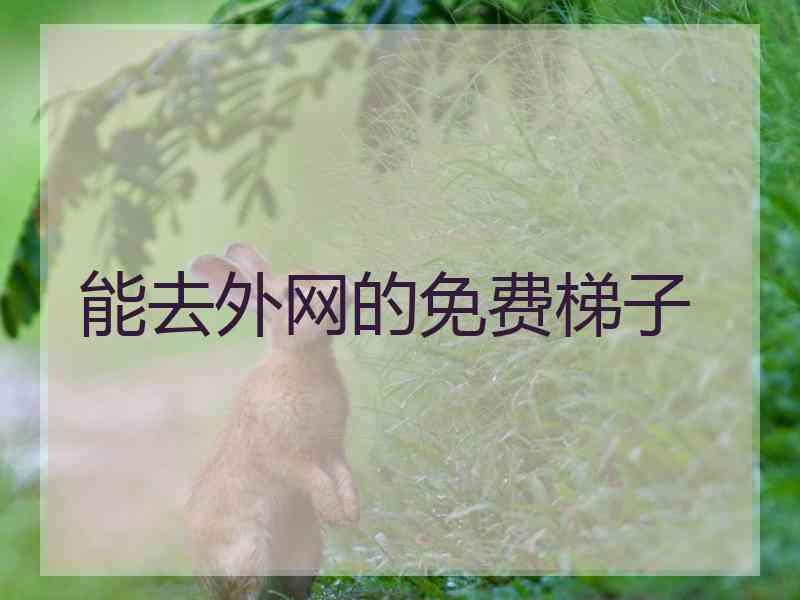 能去外网的免费梯子