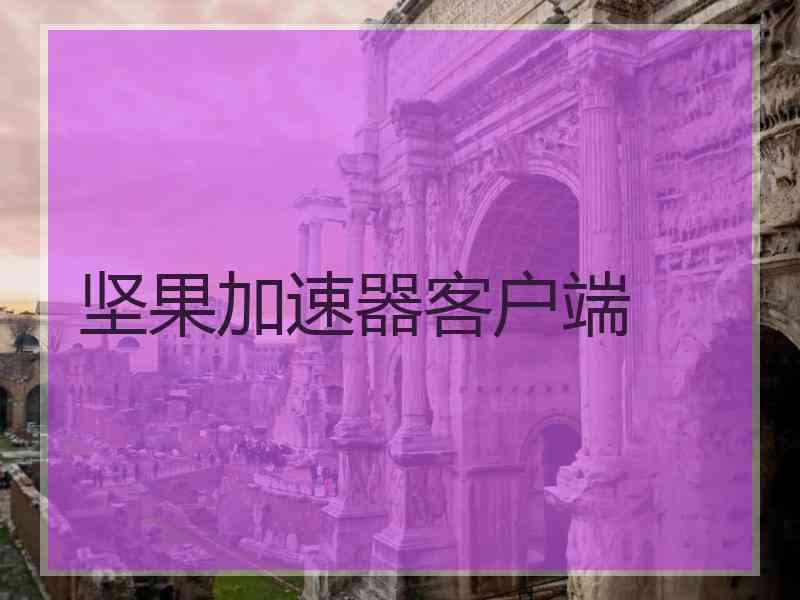 坚果加速器客户端