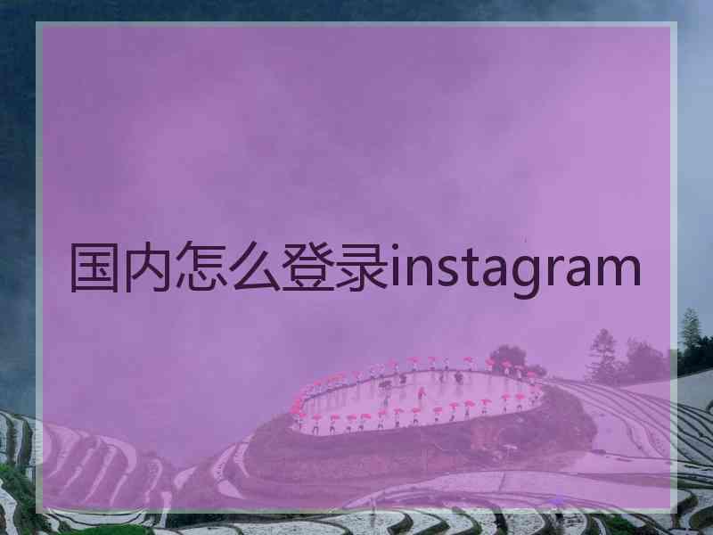 国内怎么登录instagram