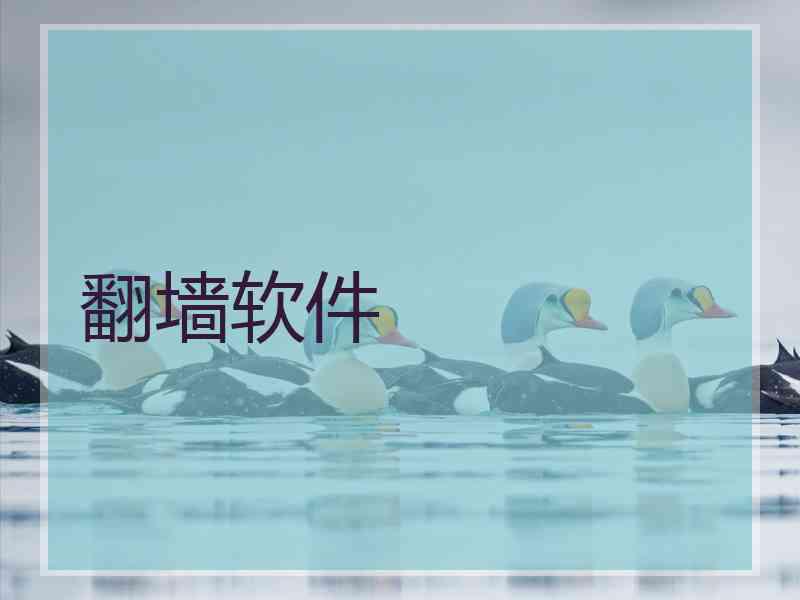 翻墙软件