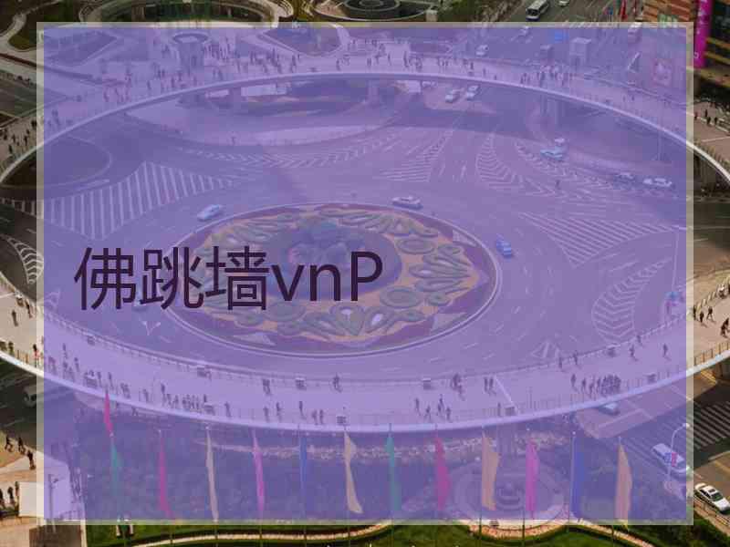 佛跳墙vnP