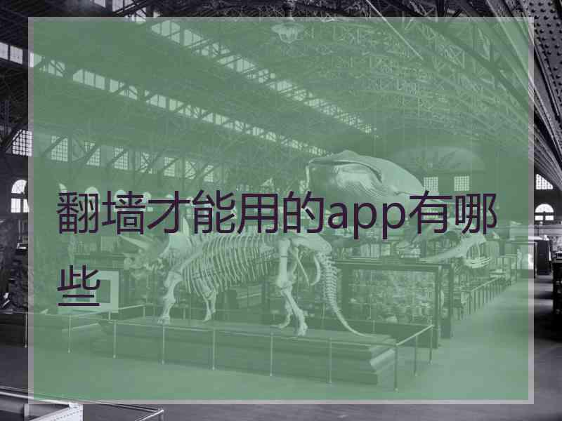 翻墙才能用的app有哪些