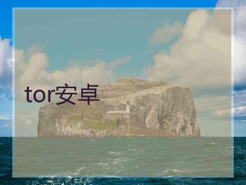 tor安卓