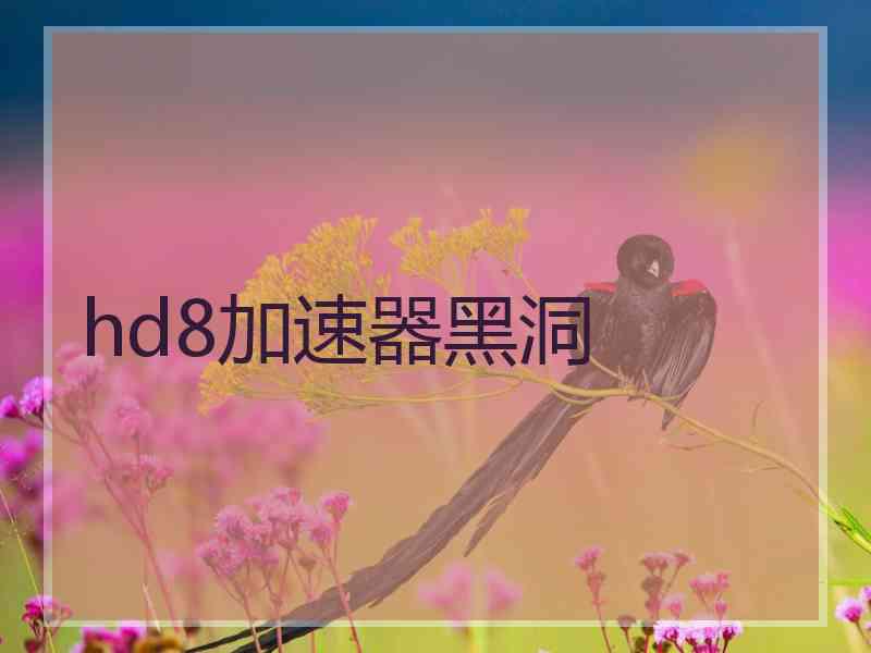 hd8加速器黑洞