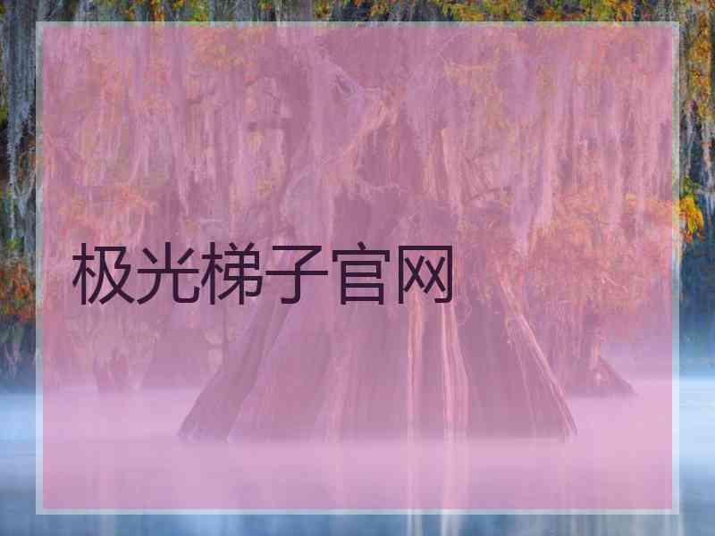 极光梯子官网