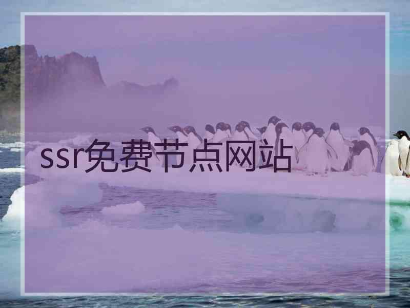 ssr免费节点网站