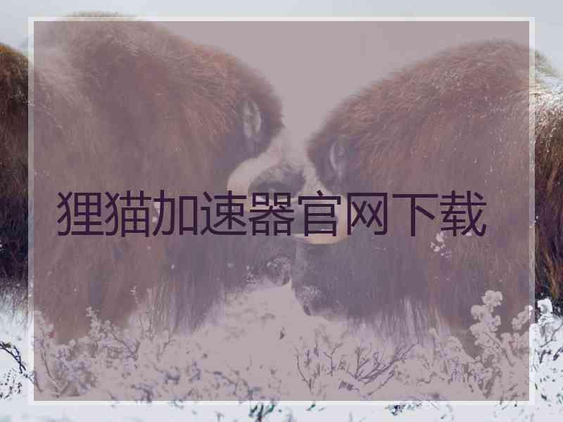 狸猫加速器官网下载