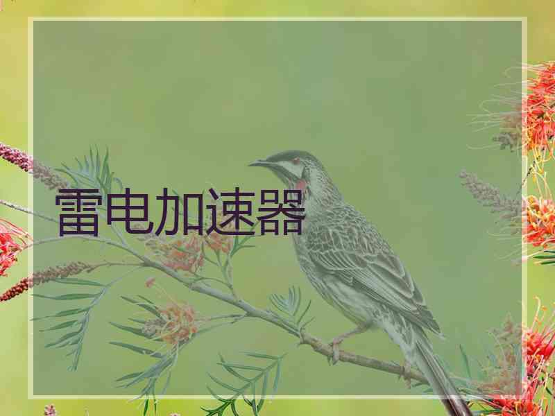 雷电加速器