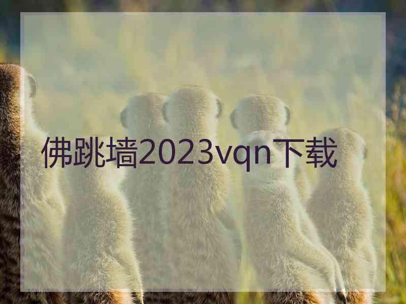 佛跳墙2023vqn下载