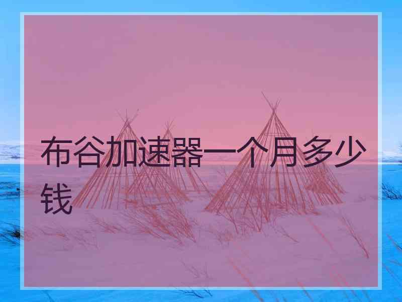 布谷加速器一个月多少钱
