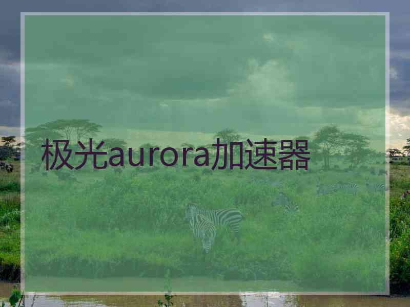 极光aurora加速器
