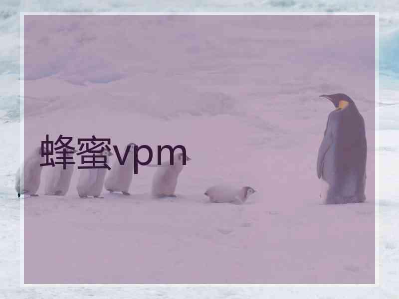 蜂蜜vpm