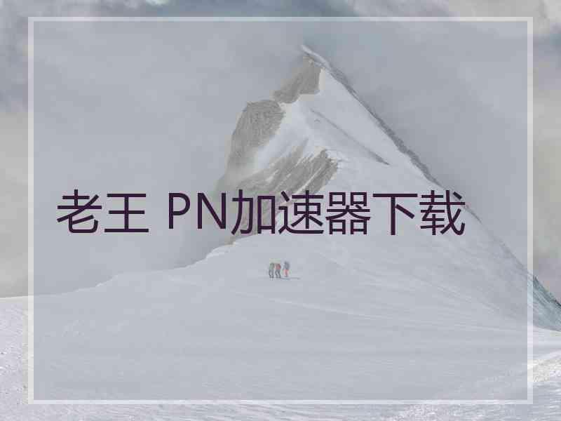 老王 PN加速器下载