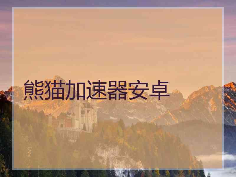 熊猫加速器安卓