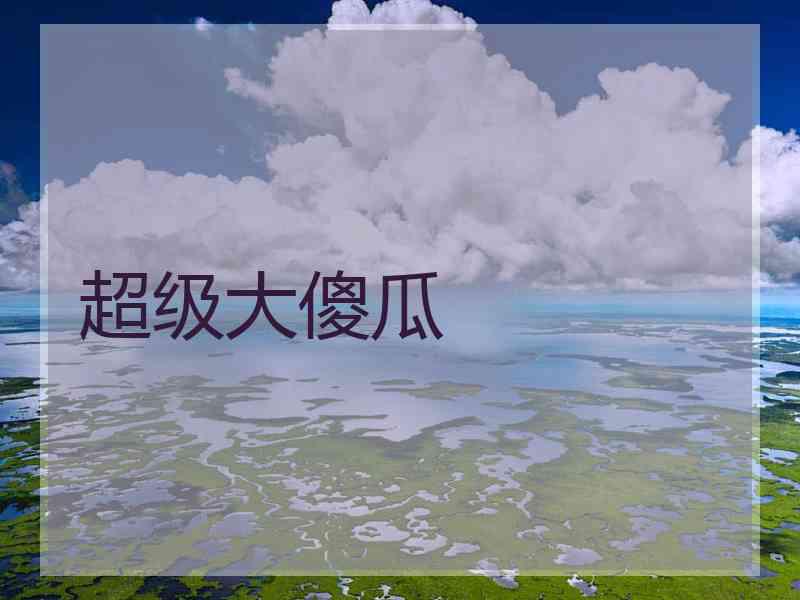 超级大傻瓜