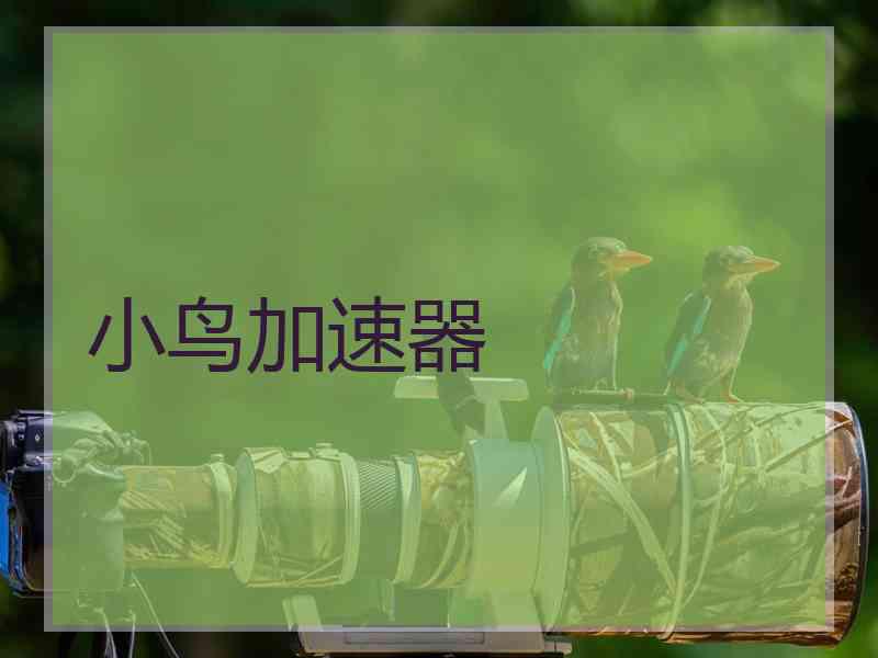 小鸟加速器
