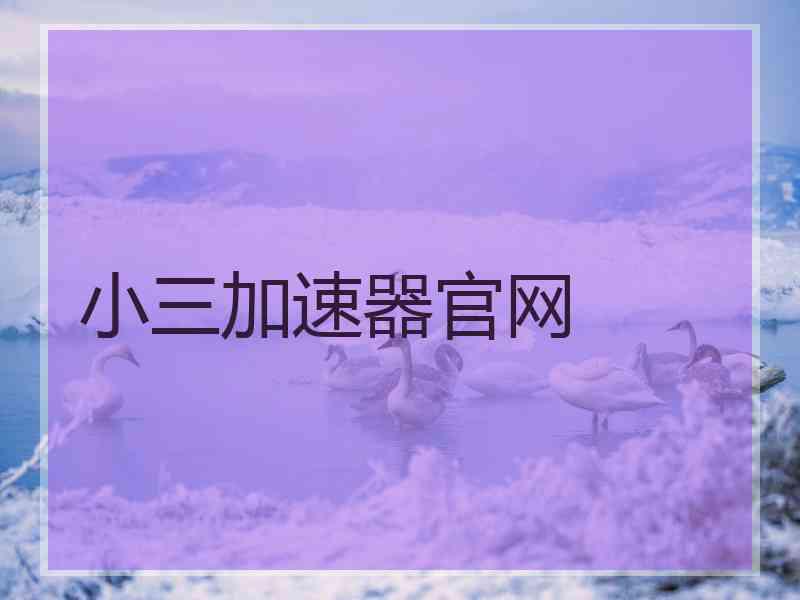 小三加速器官网