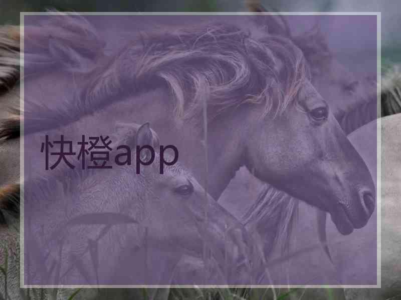 快橙app