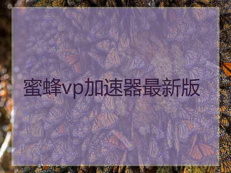 蜜蜂vp加速器最新版