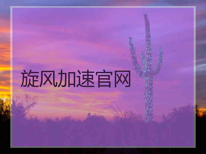 旋风加速官网