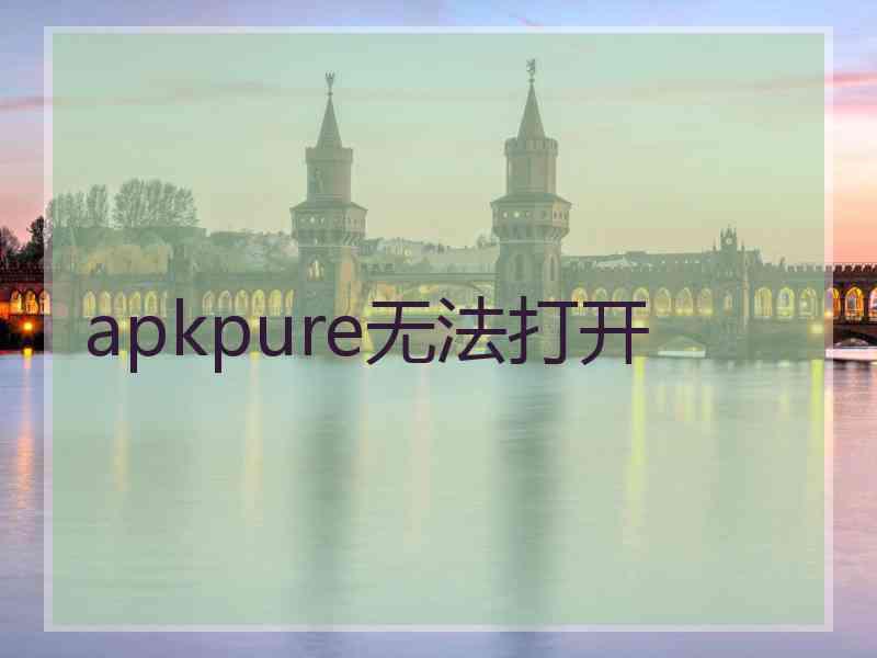 apkpure无法打开