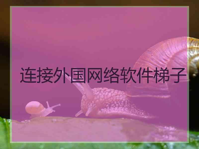 连接外国网络软件梯子