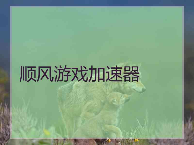 顺风游戏加速器